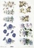 kwiaty 3D, stokrotki, chabry, hortensje, róże*3D flowers, daisies, cornflowers, hydrangeas, roses